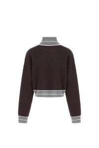Doberman Pinscher Brown Original Pattern Turtleneck Sweater