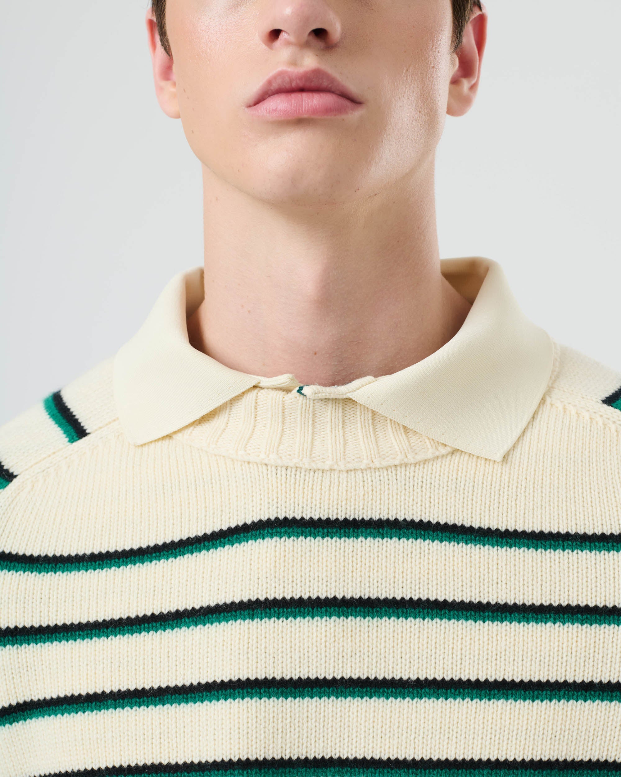 Stripe Knit Crew