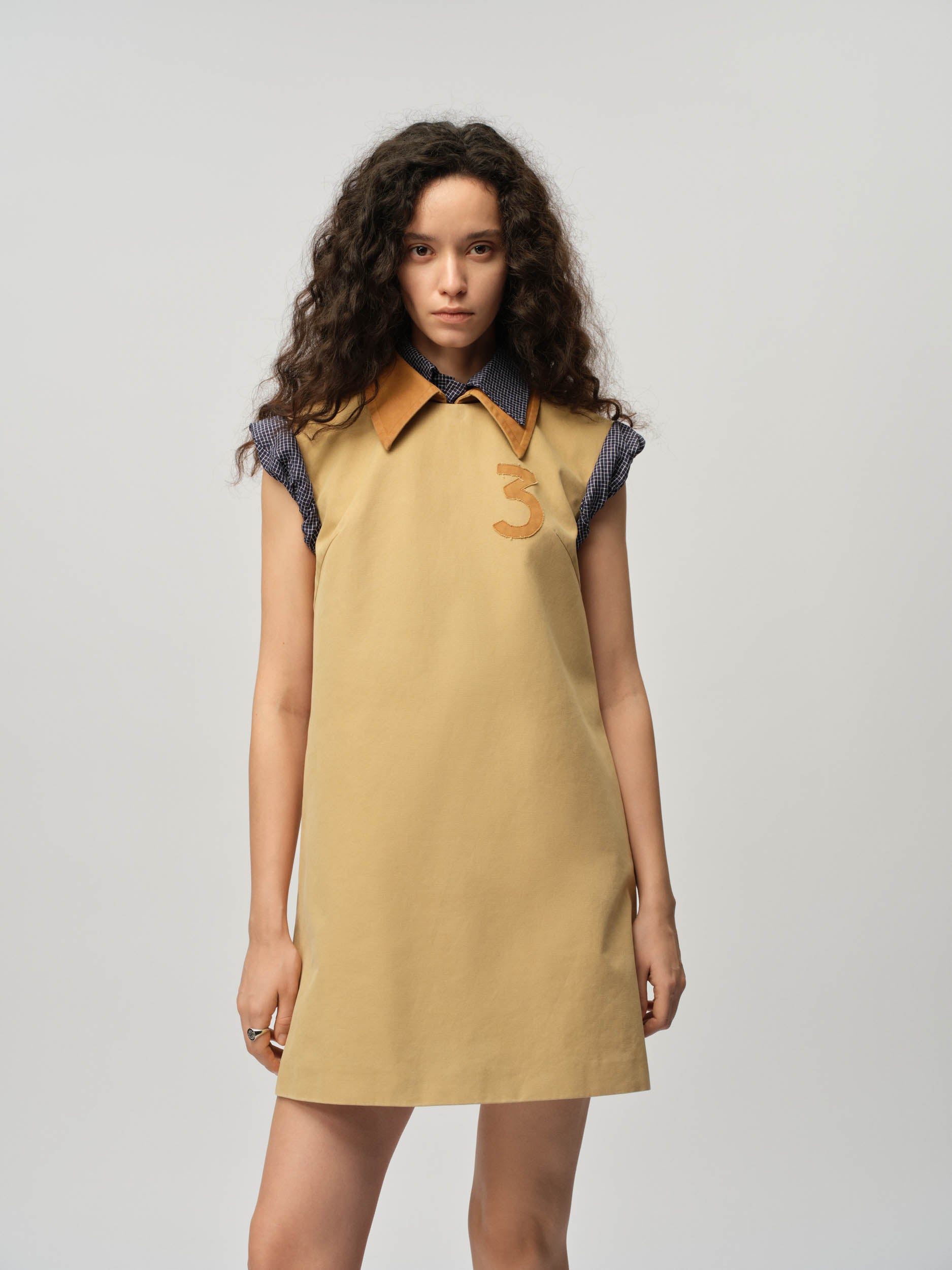 Canvas Shift Dress