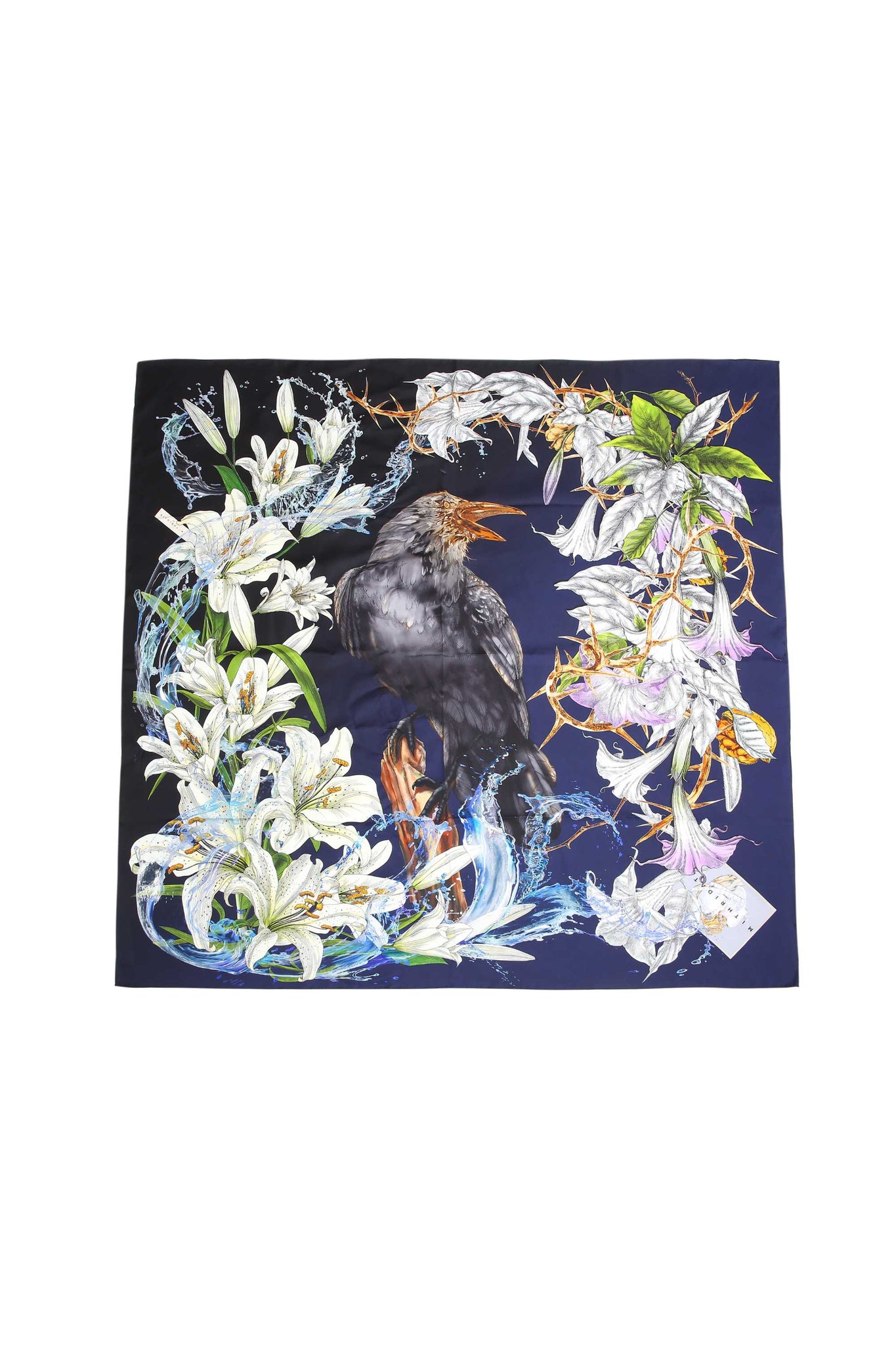 Raven & Iris Graphic Silk Scarf